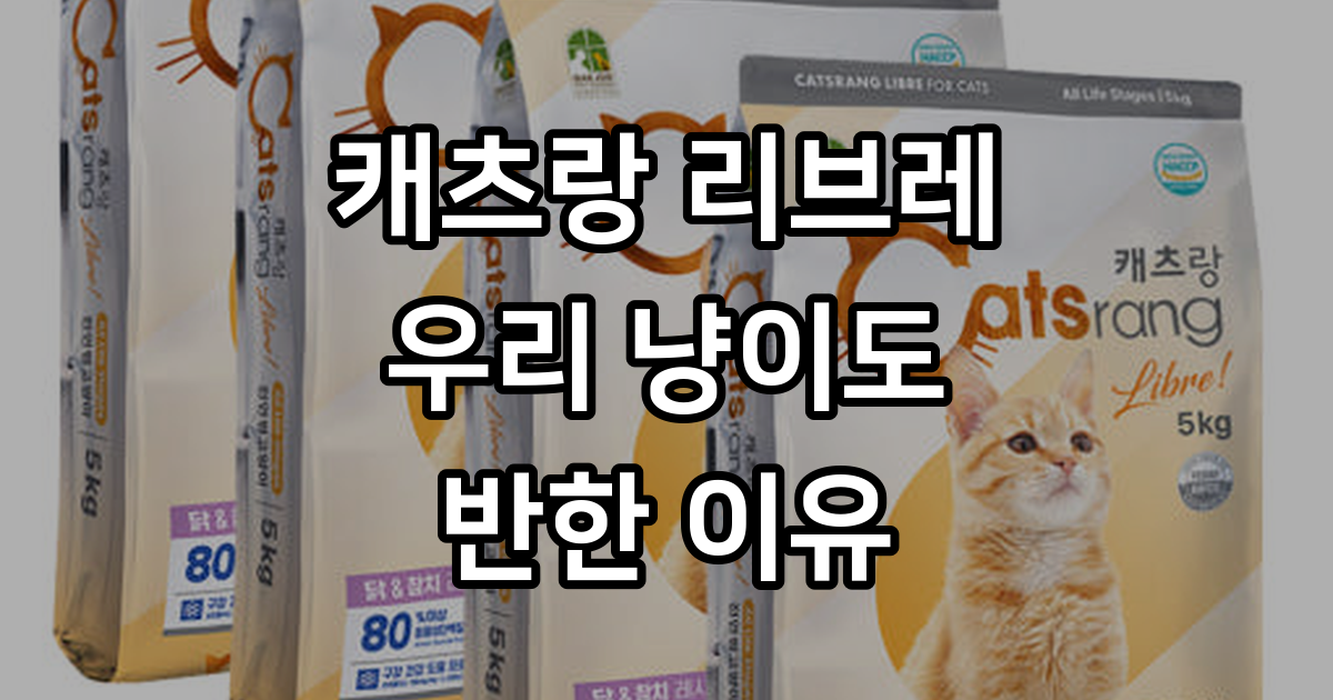 캐츠랑 리브레 우리 냥이 솔직 후기