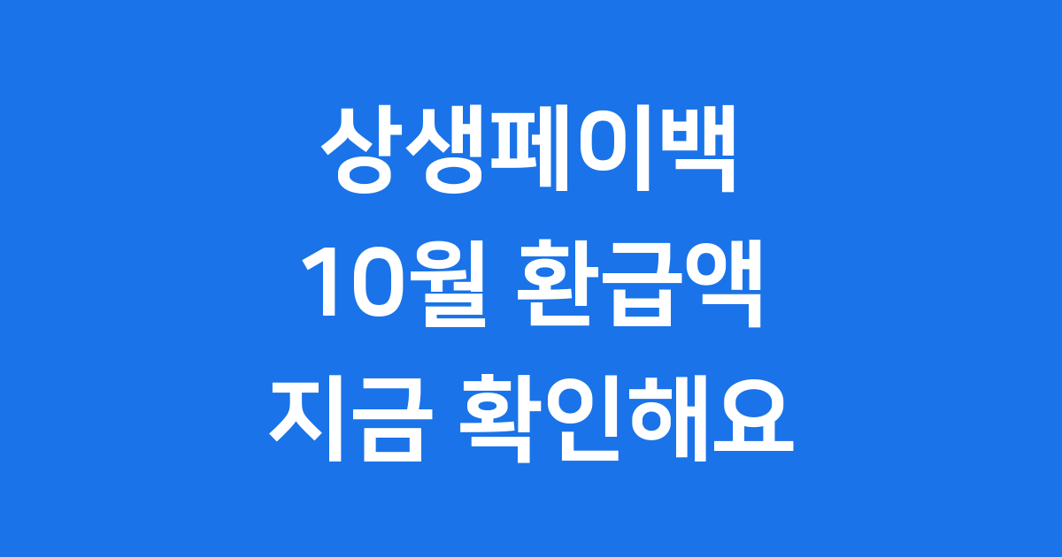 상생페이백 10월 환급액 확인
