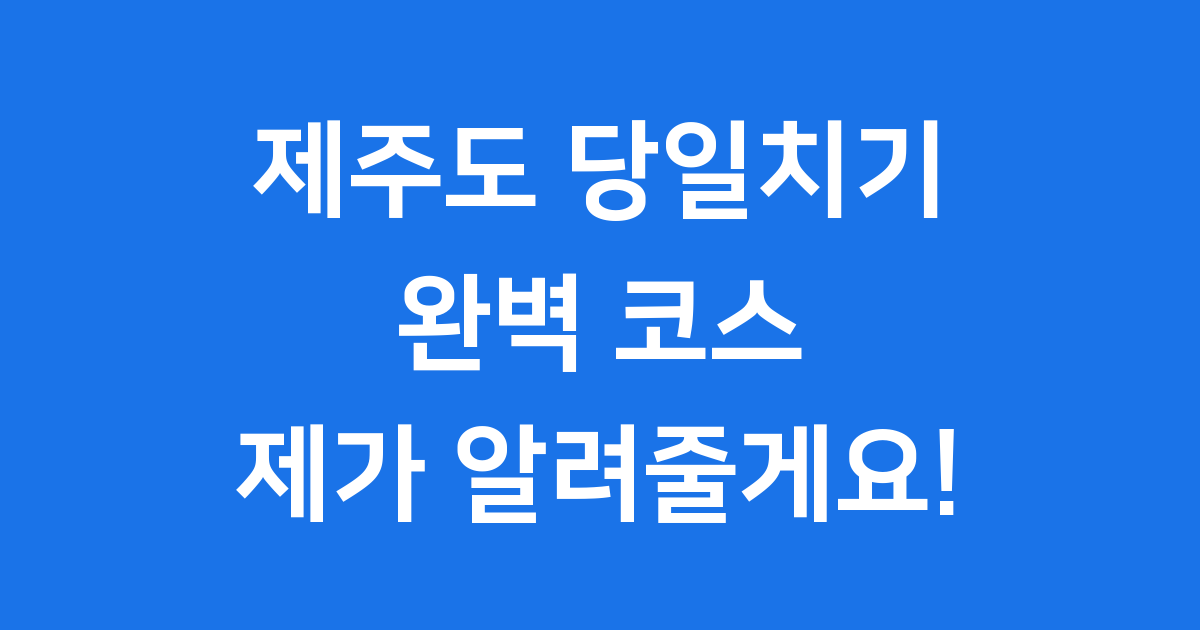 제주도 당일치기여행