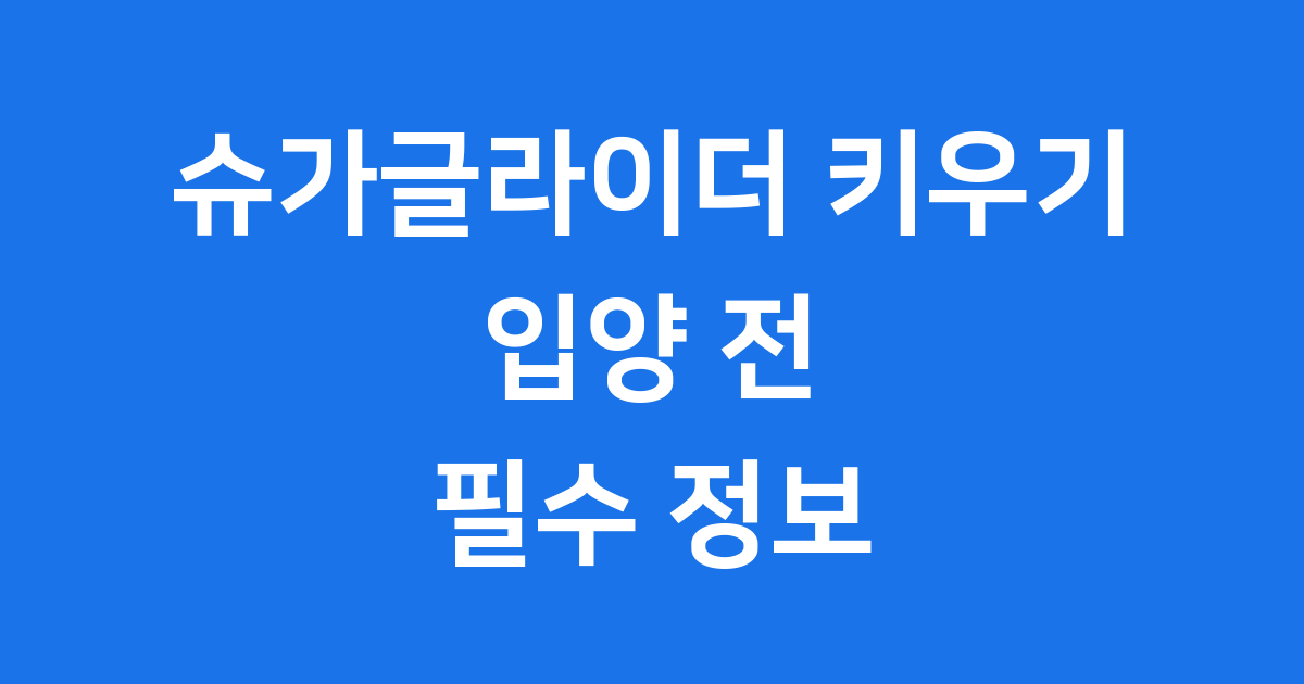 슈가글라이더 키우기 입양 전 필수 정보 확인