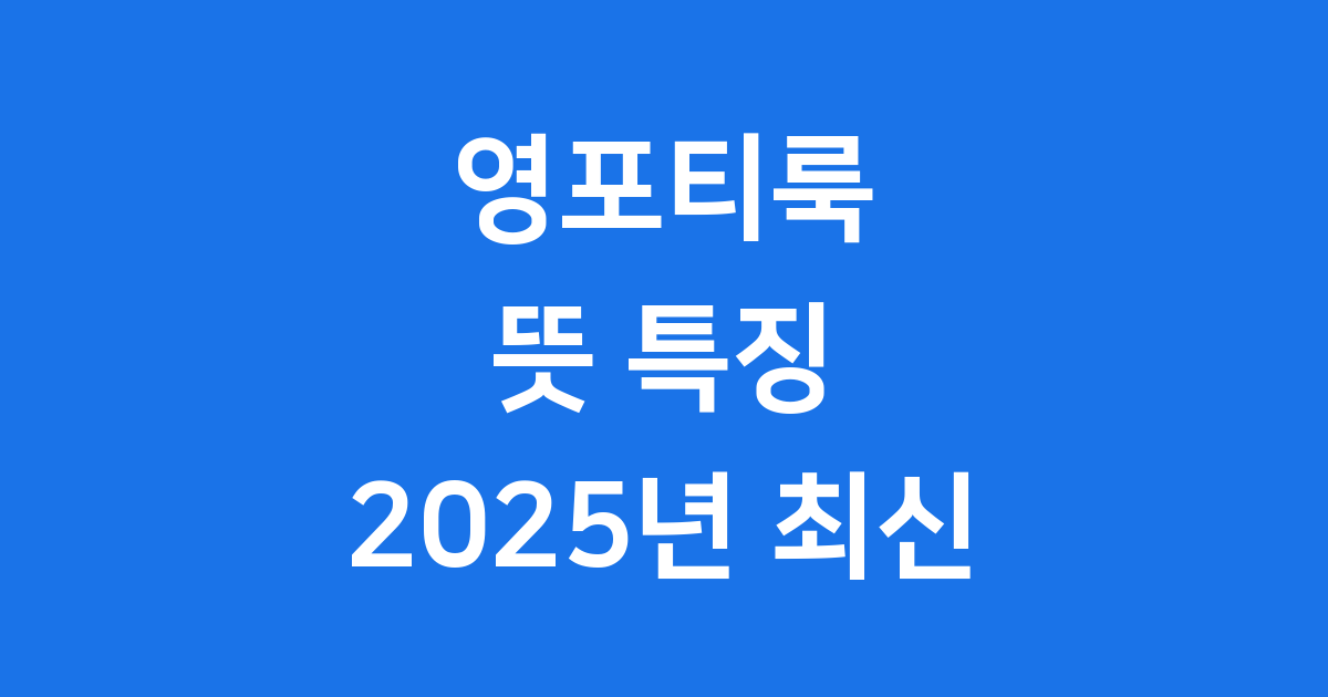 영포티룩 뜻 특징 2025년 최신 패션 완전 분석