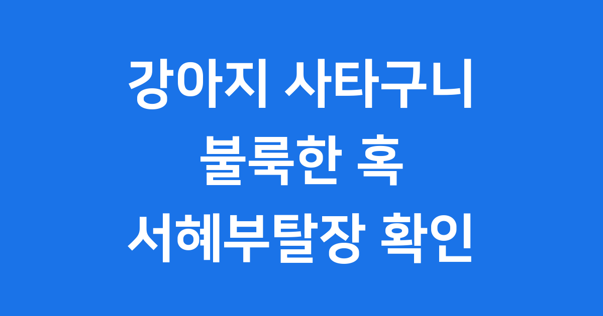 강아지 서혜부탈장 증상 원인 치료 수술비용