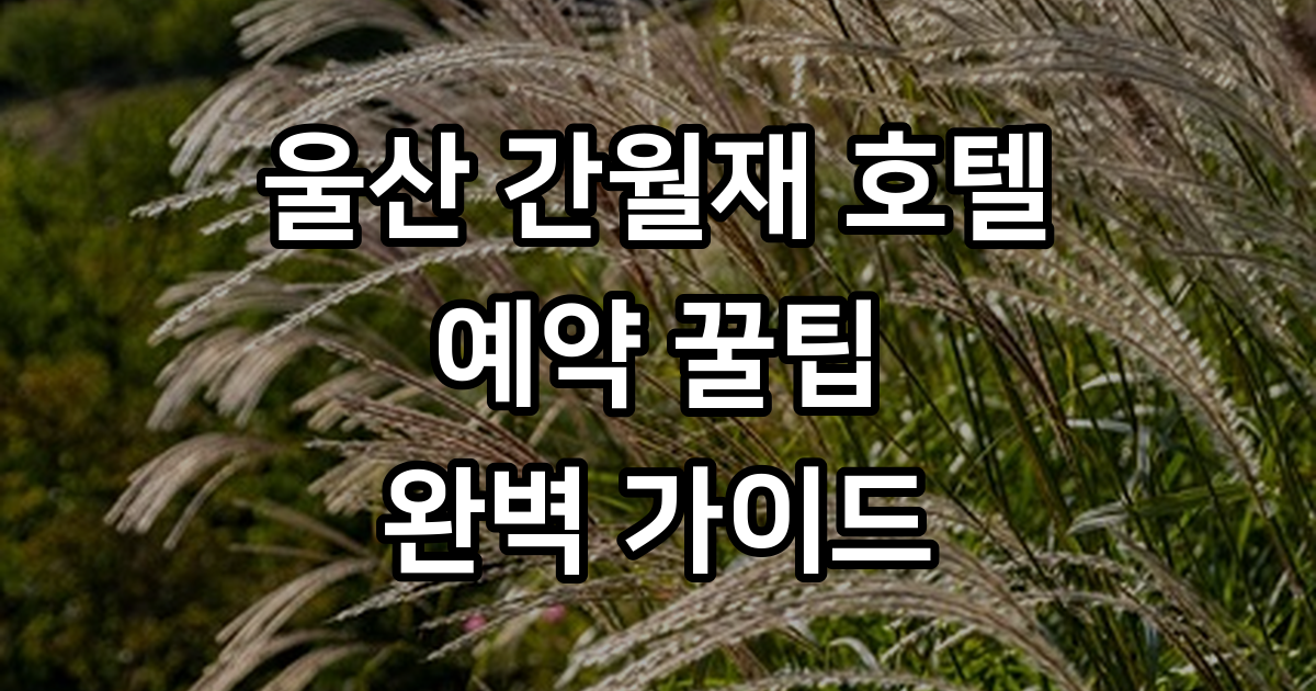 울산 간월재 호텔 예약 간월재 여행 숙소 가이드