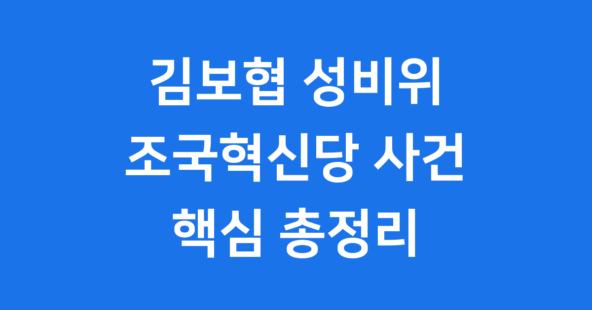 김보협 성비위 의혹 조국혁신당 사건 정리