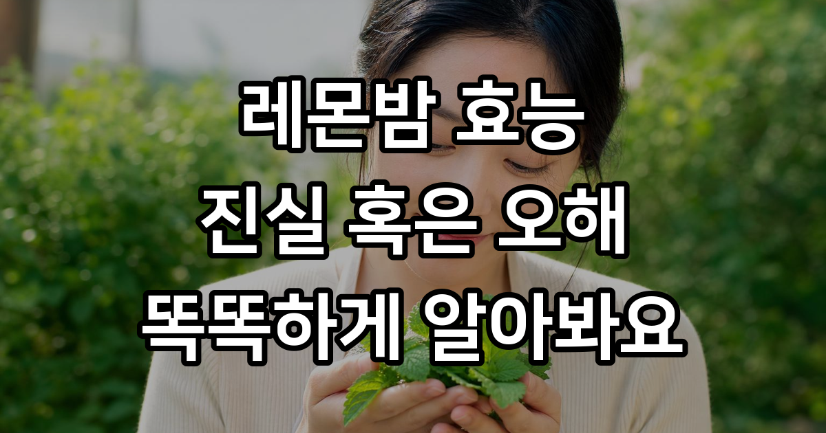 레몬밤 효능