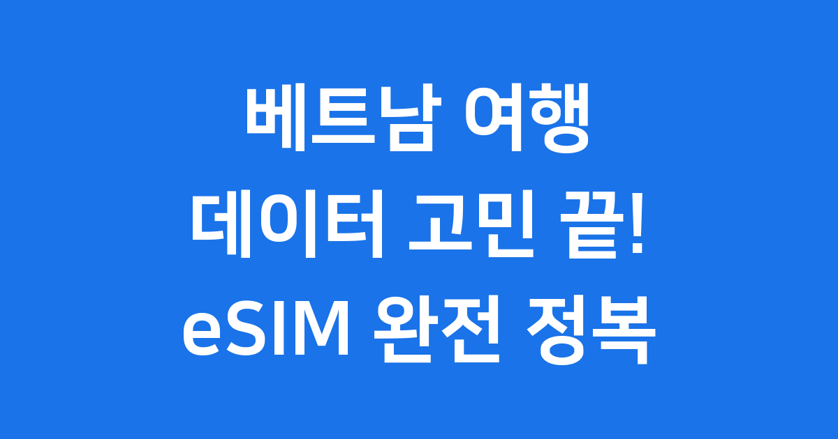 베트남 eSIM 유심 포켓와이파이 2025년 완벽 비교 가이드