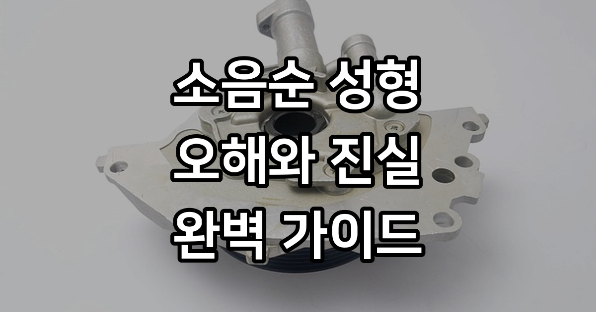 소음순이란 여성 외음부 구조 기능 비대칭 성형 수술 비용 정보