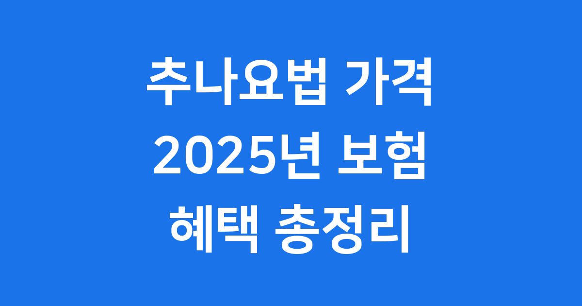 추나요법 가격 2025년 완벽 정리