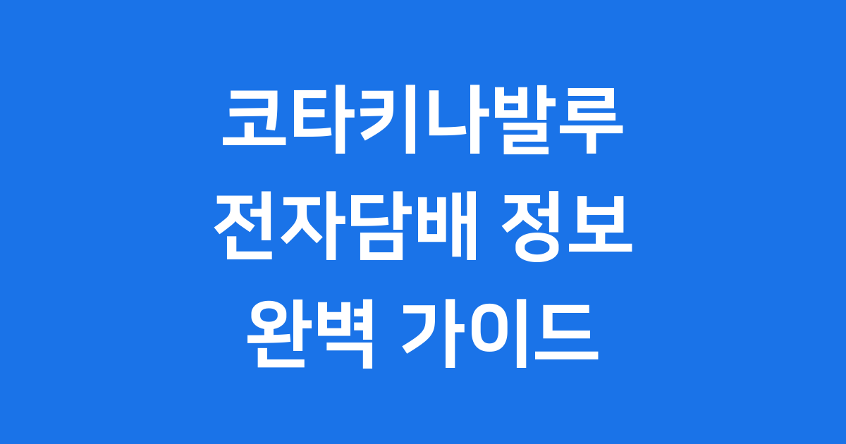 코타키나발루 전자담배