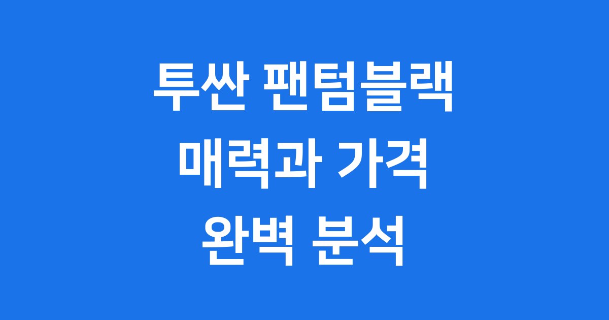 투싼 팬텀블랙 매력과 가격 완벽 분석