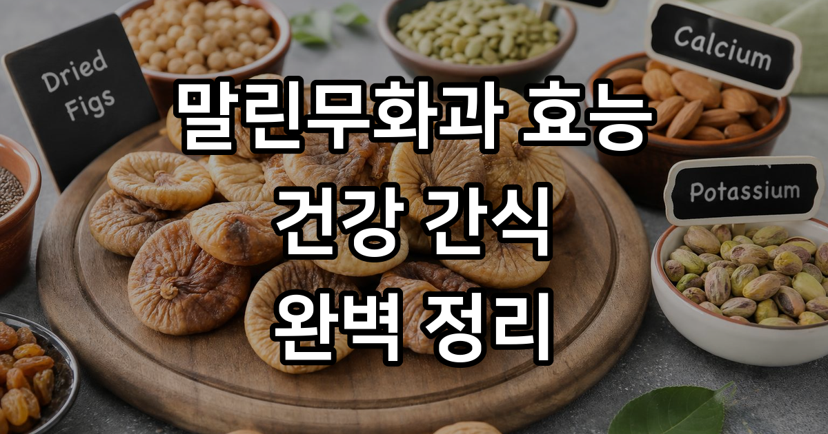 말린무화과 효능