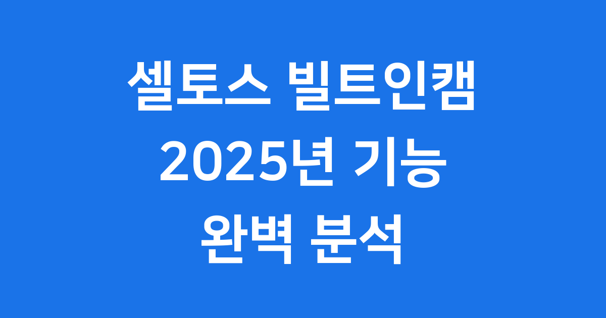 셀토스 빌트인캠 2025년 기능 가격 완벽 분석
