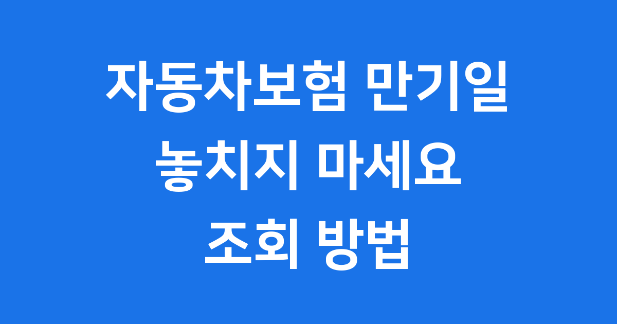 자동차보험 만기일 조회