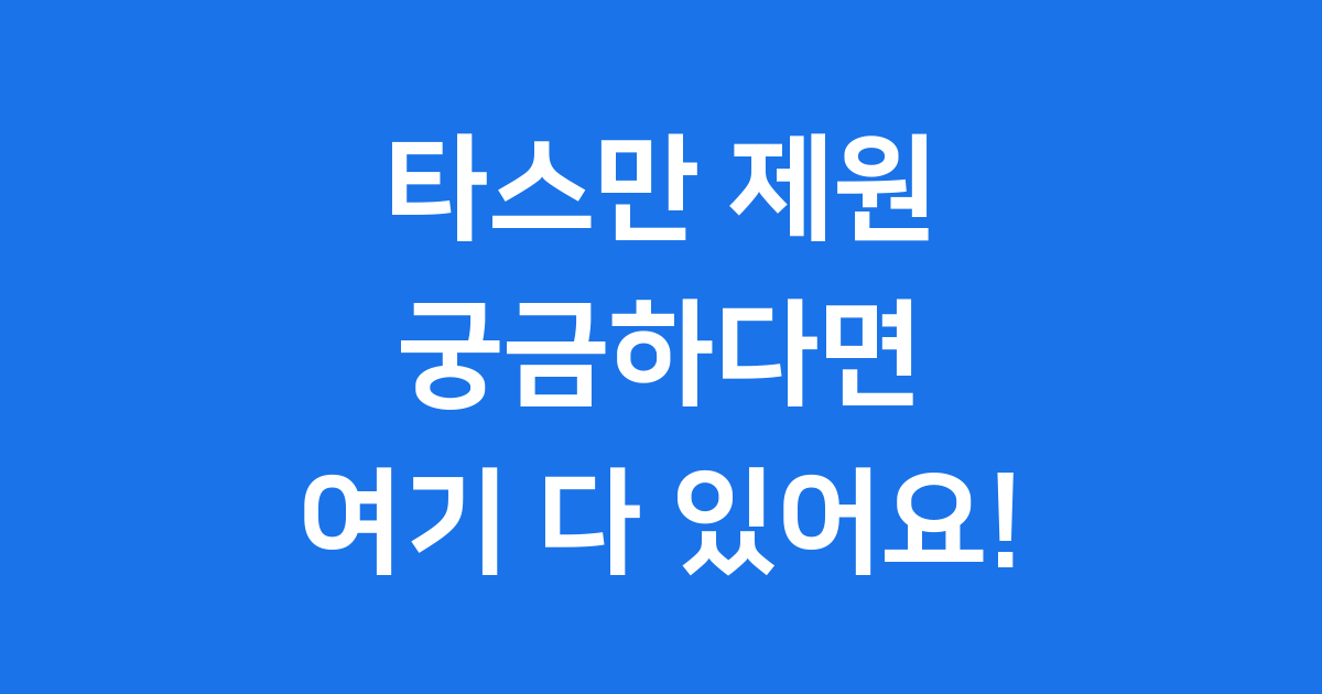 타스만 제원 2025년 중형 픽업트럭 상세 크기