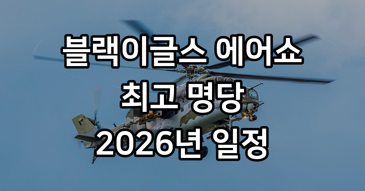 블랙이글스 에어쇼 명당 확인