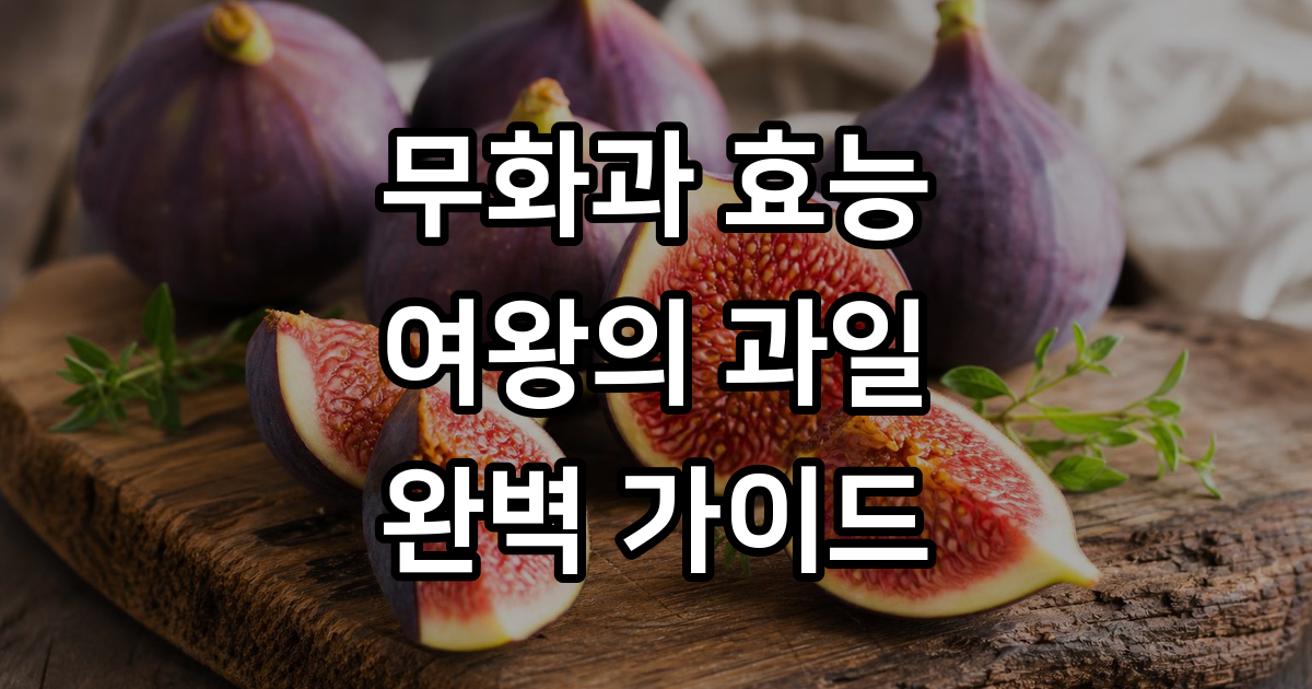 무화과 효능