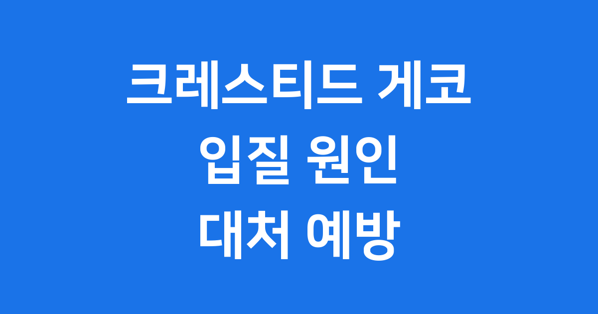 크레스티드 게코 입질 원인 대처 예방법