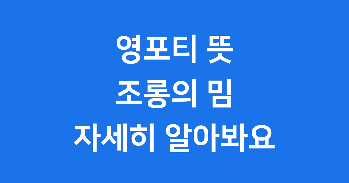 영포티 뜻과 밈 현상 깊이 알아보기
