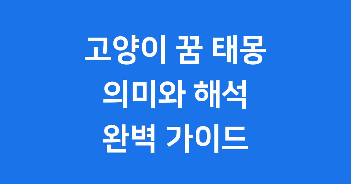 고양이 꿈 태몽 의미 색깔별 해석 금전운 주의점