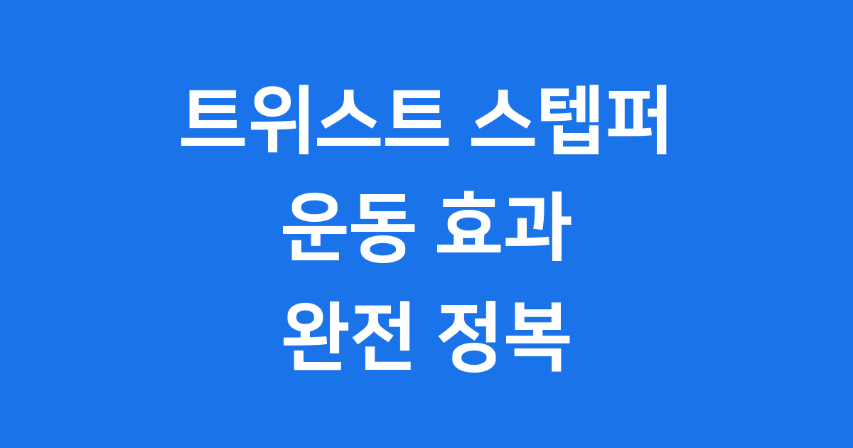 트위스트 스텝퍼 운동효과 사용법 가격 비교
