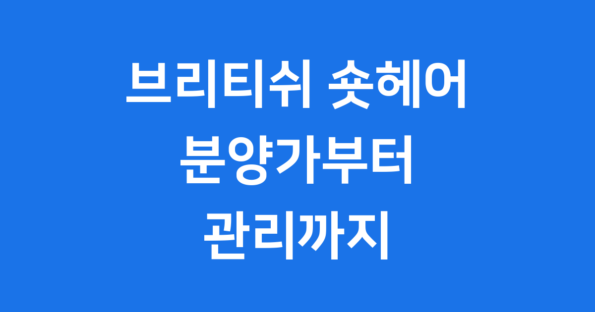 브리티쉬 숏헤어 분양가 입양 비용 유지비 완벽 정리