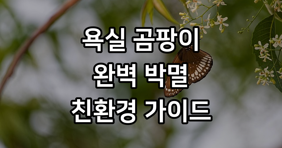 2026년 욕실 곰팡이 완벽 박멸 친환경 살균 방지법