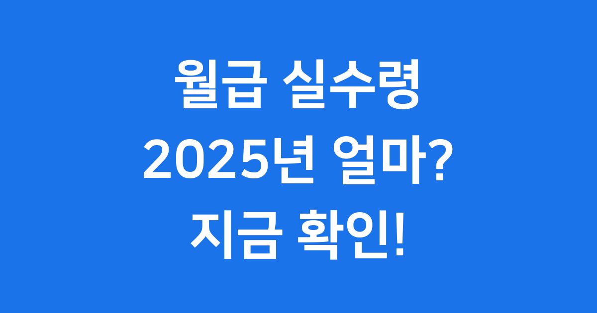 월급 실수령 계산기 2025년 4대 보험 공제 궁금하다면