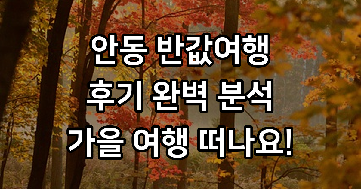 안동 반값여행 후기