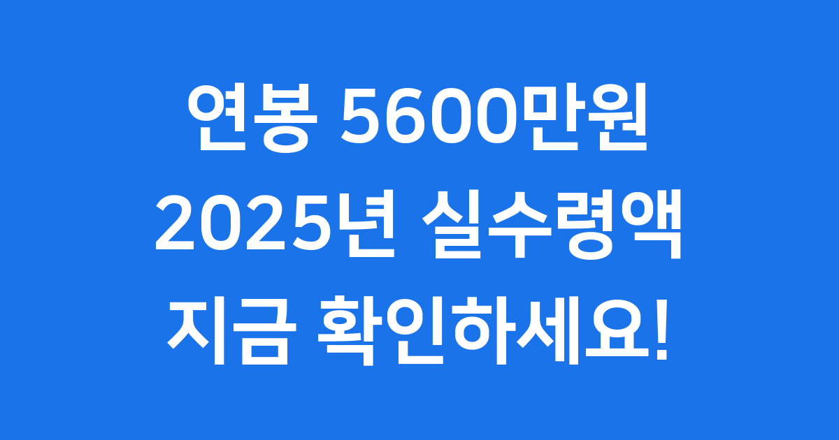 2025년 연봉 5600만원, 세후 얼마일까요?