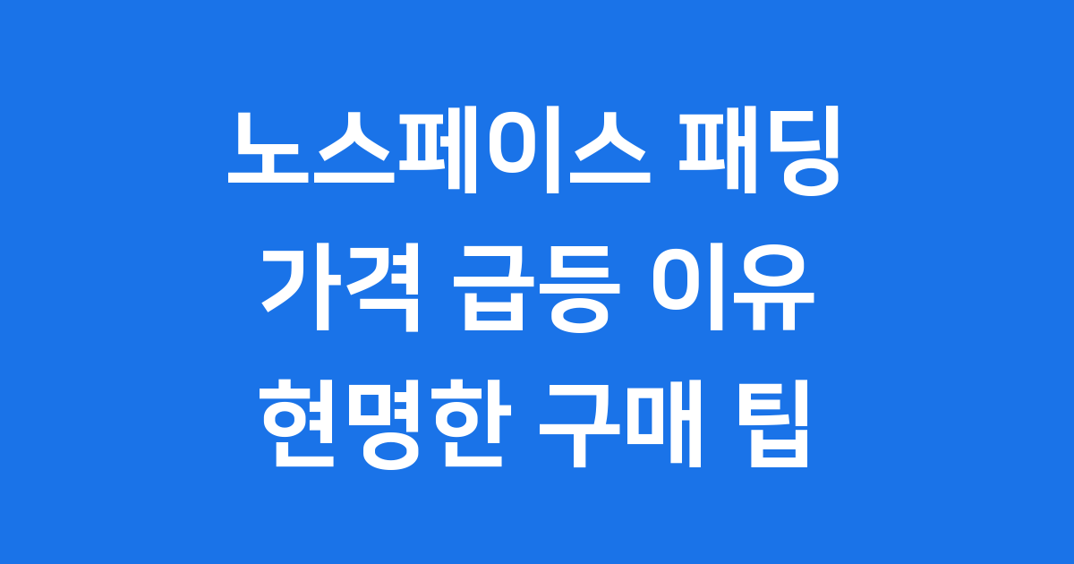 노스페이스 패딩 가격 왜 이렇게 올랐을까요 2024년 겨울 패션 트렌드