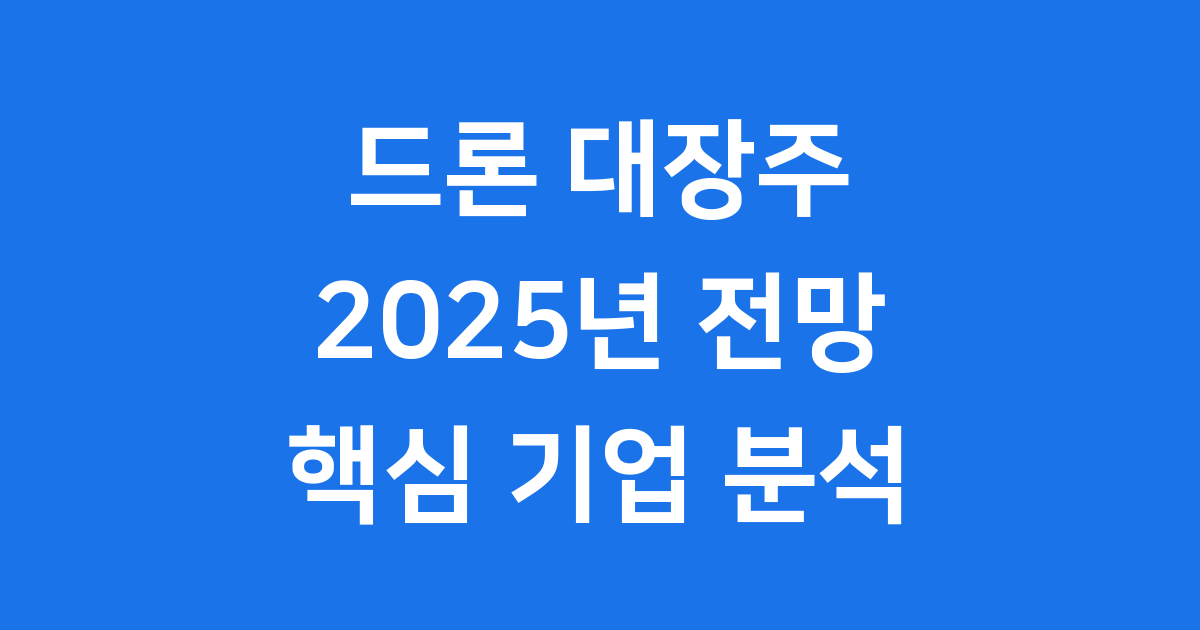 드론 대장주 2025년 핵심 정보 분석