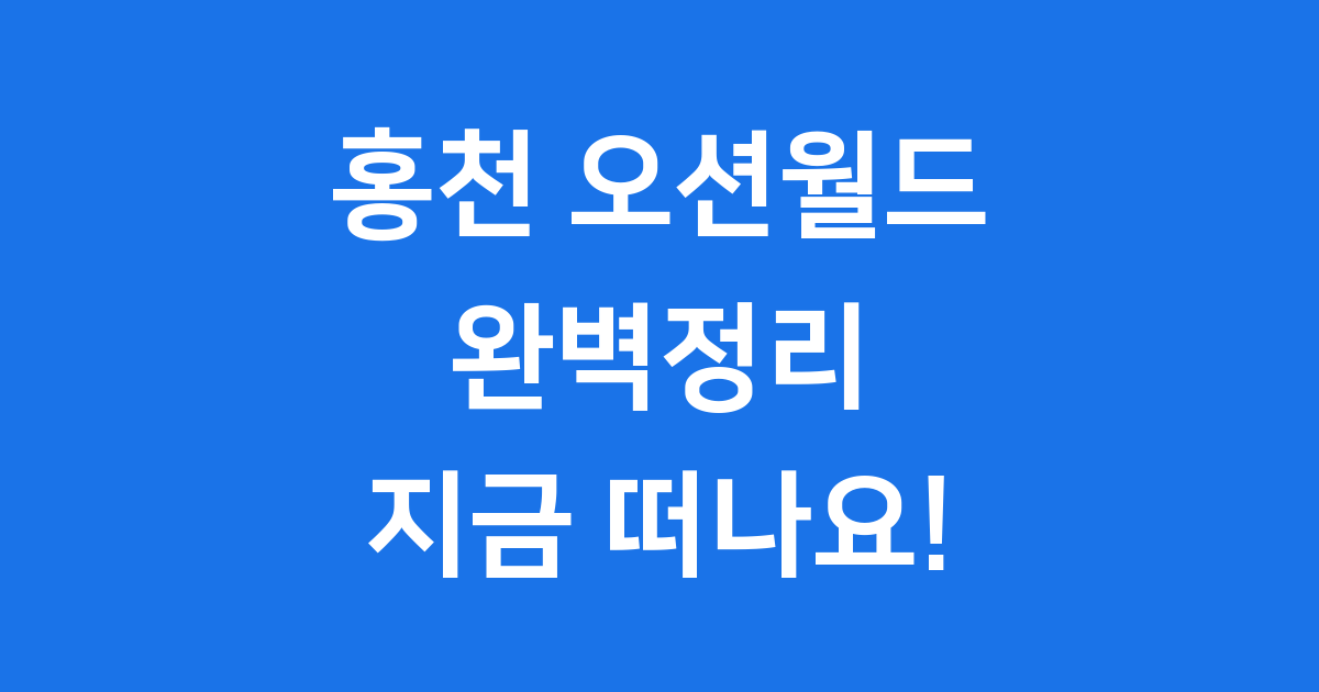 홍천 오션월드 완벽정리 즐길거리 안전수칙