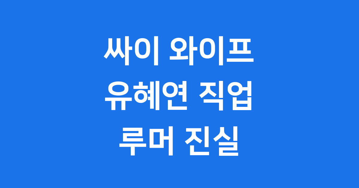 싸이 와이프 유혜연 직업 가족 루머 진실