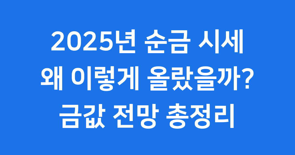 2025년 국내 순금 시세, 얼마였을까요?