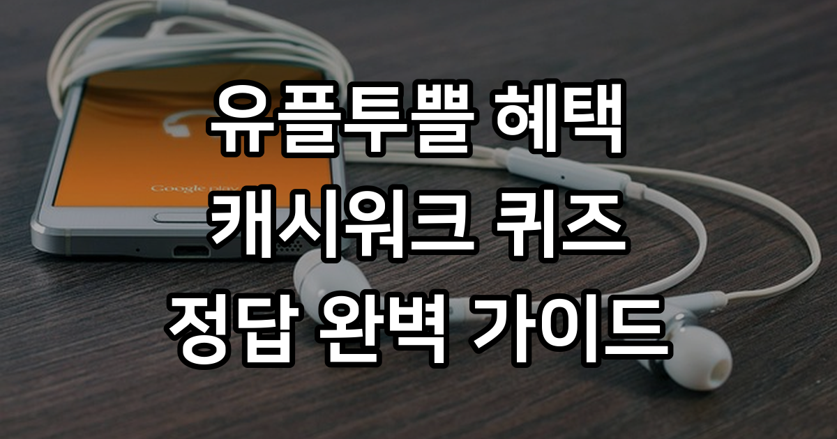 유플투쁠 정답