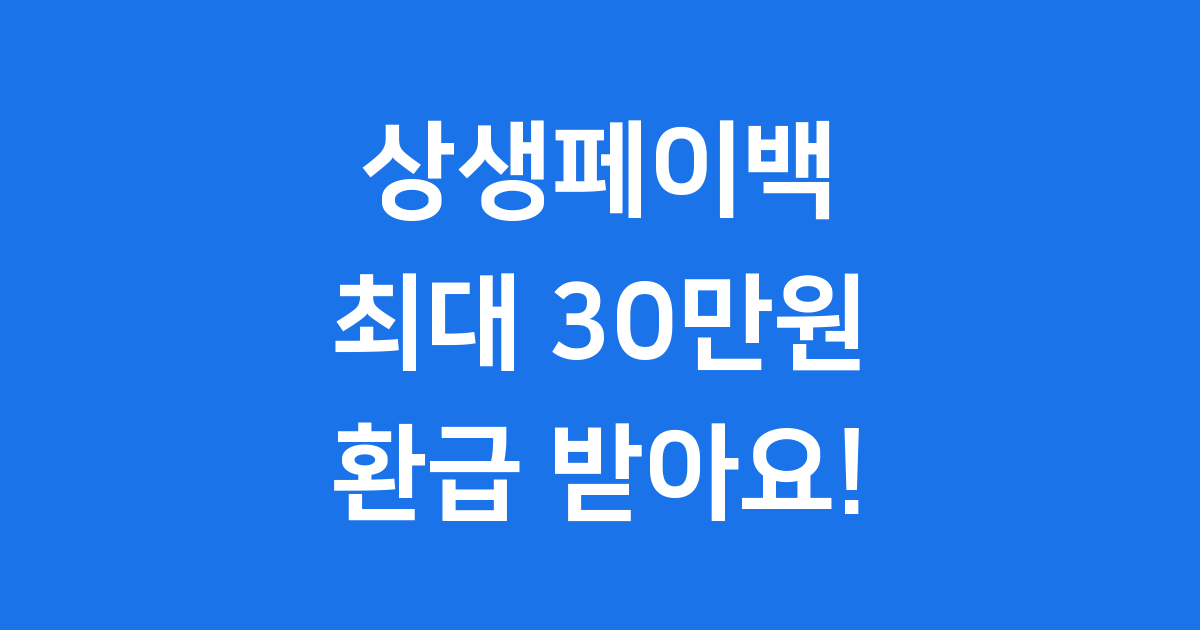 상생페이백 2025년 신청방법 최대 30만원 환급