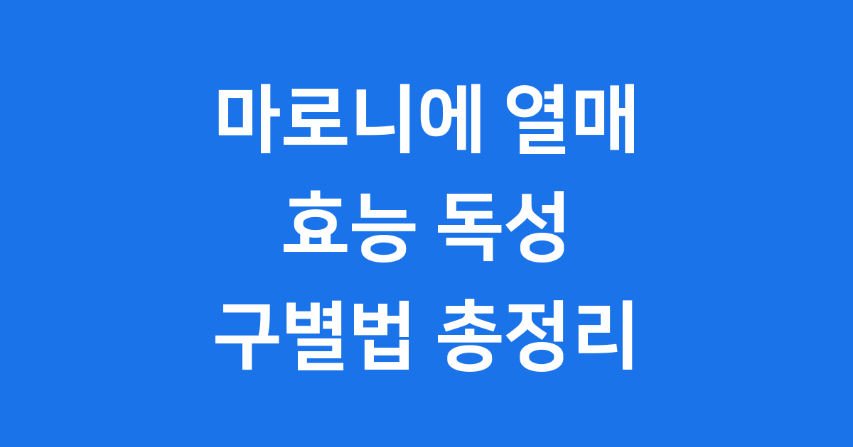 마로니에 열매: 효능과 독성, 밤과 구별법 완벽 정리