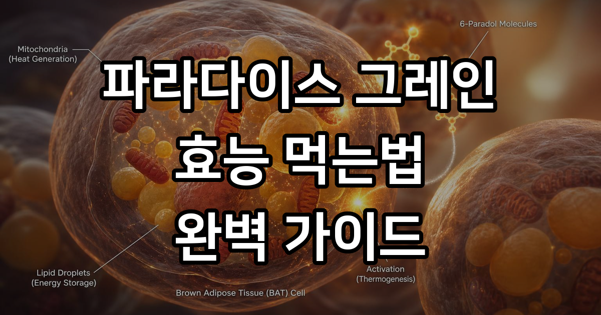 파라다이스 그레인 효능먹는법