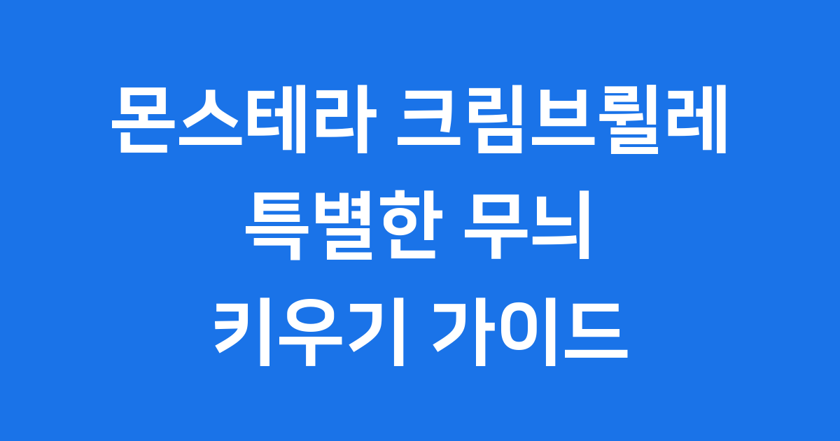 몬스테라 크림브륄레의 매력적인 무늬와 관리법