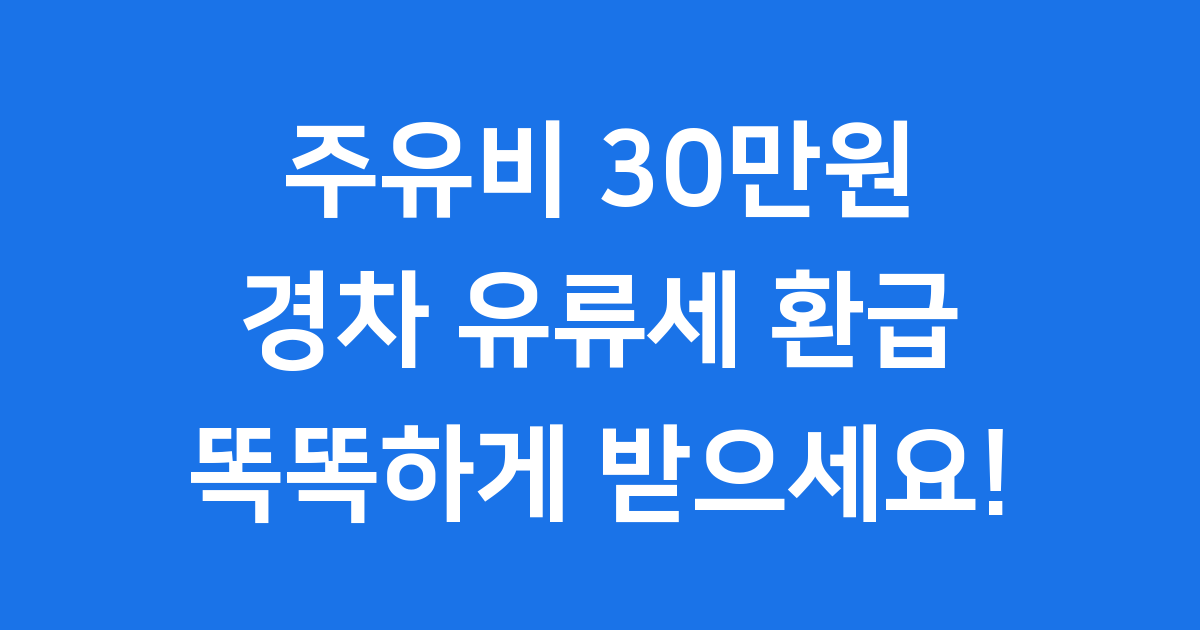 1세대 1경차 보유자를 위한 30만원 환급 완벽가이드