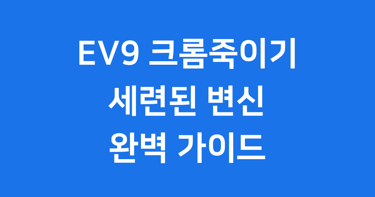 EV9 크롬죽이기 2025 시공 비용 관리 알아보기