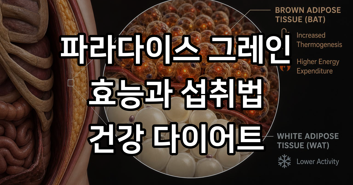 파라다이스 그레인 효능 먹는법