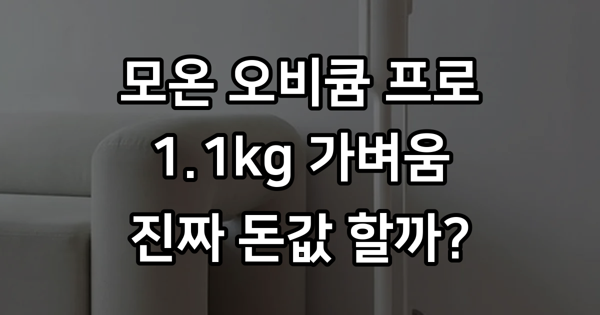 나혼자산다 김신영 청소기 오비큠 가벼운 무선청소기 실제 사용기